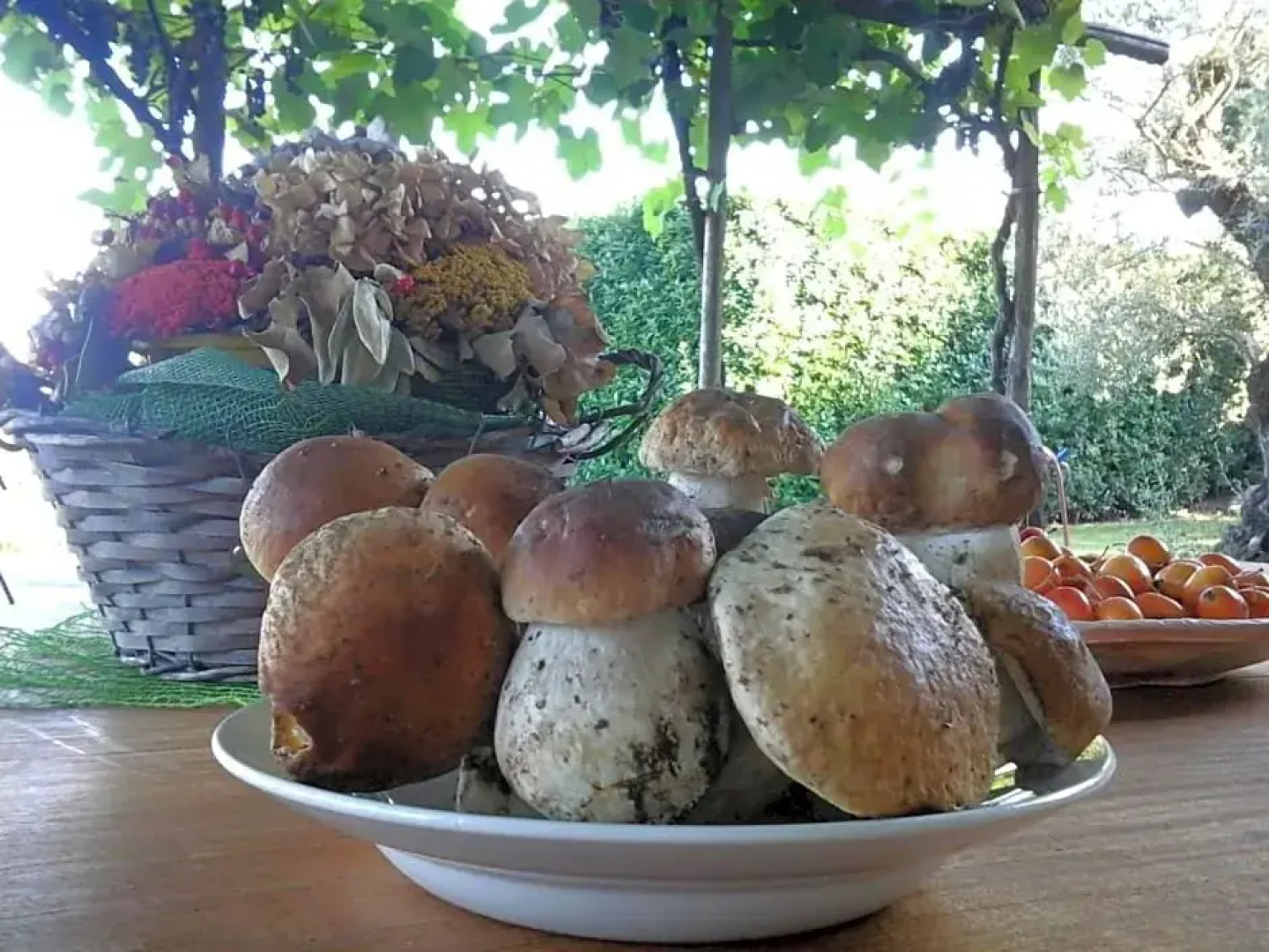 Bio&B Cascina Montebello