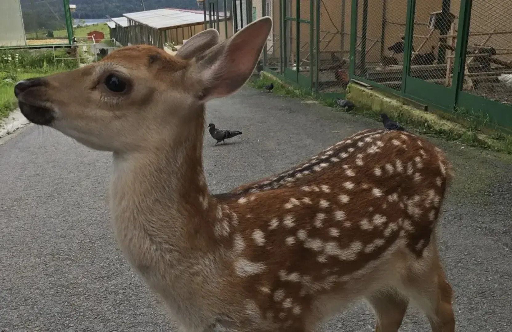 Таганай Термал