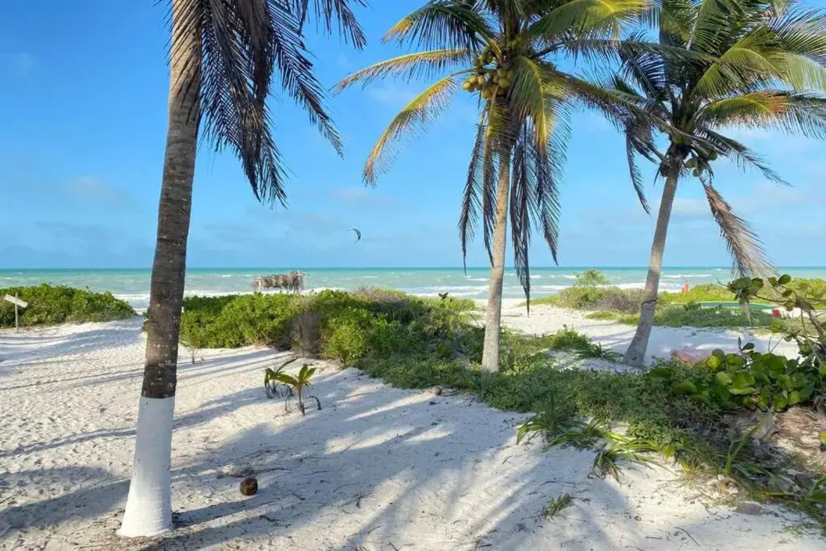 Coconut Palm House - El Cuyo