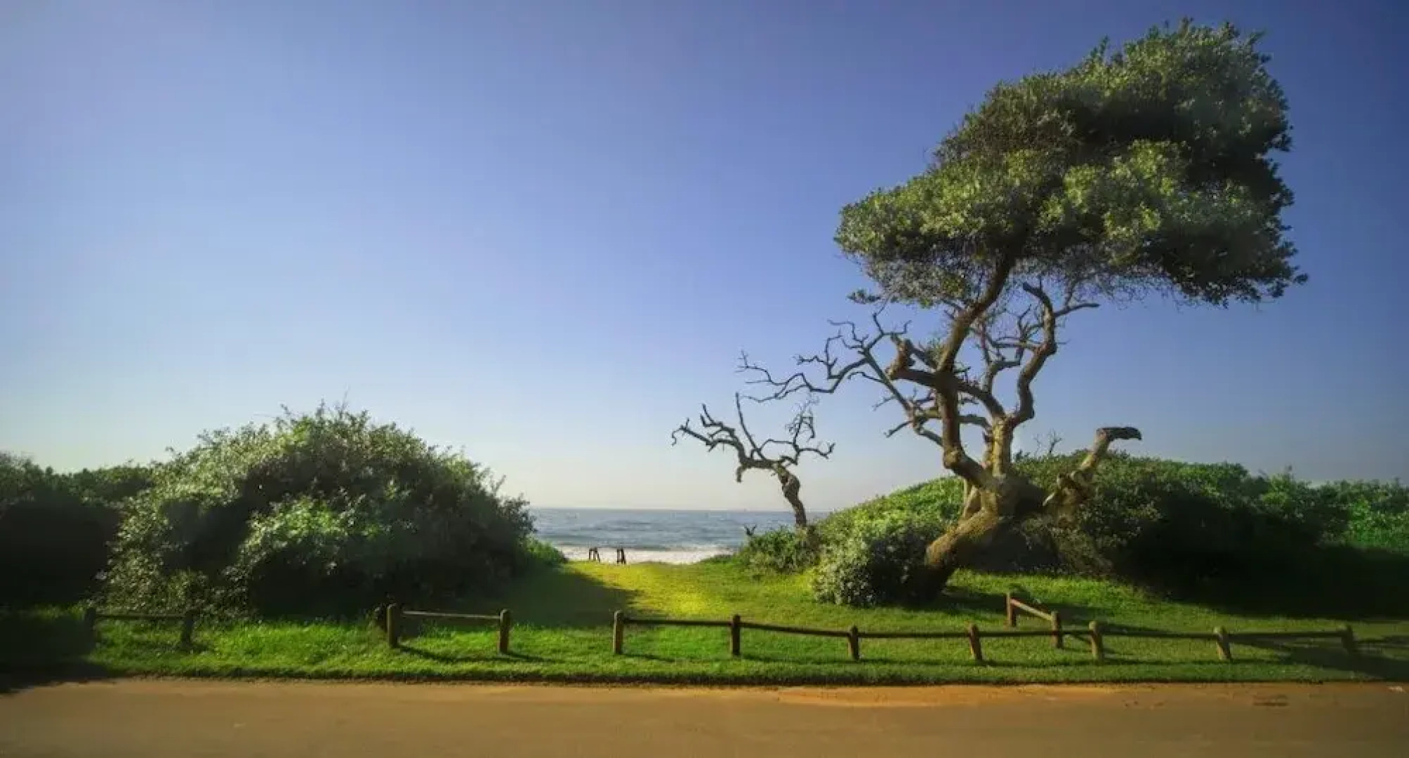 4 Dolphin views La Mercy