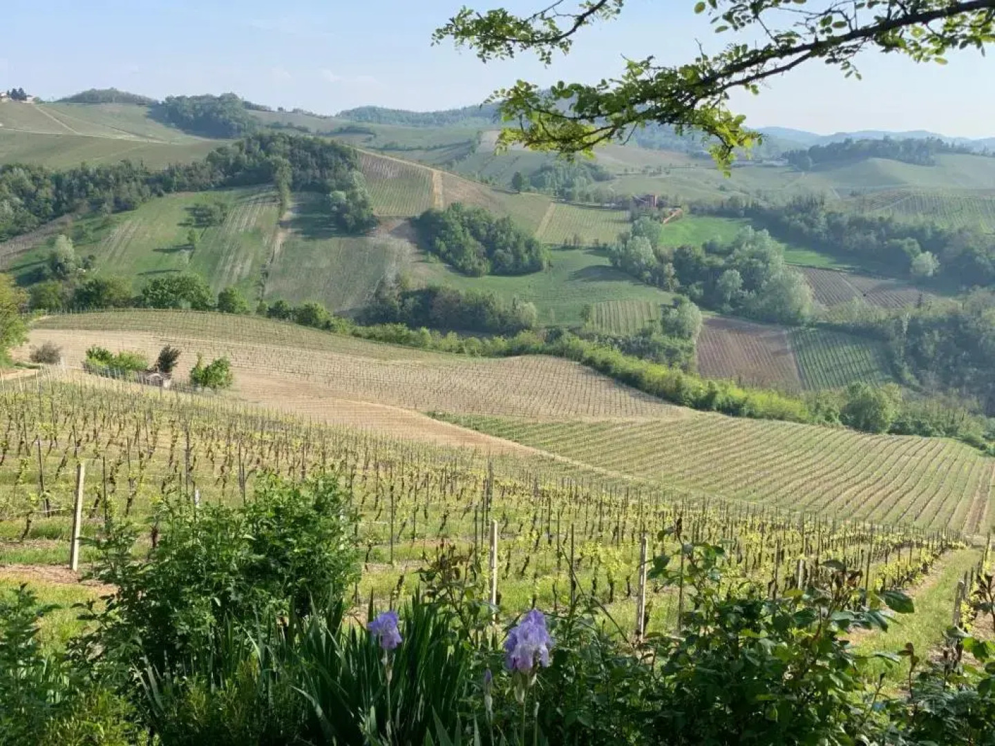 Agriturismo I Gessi