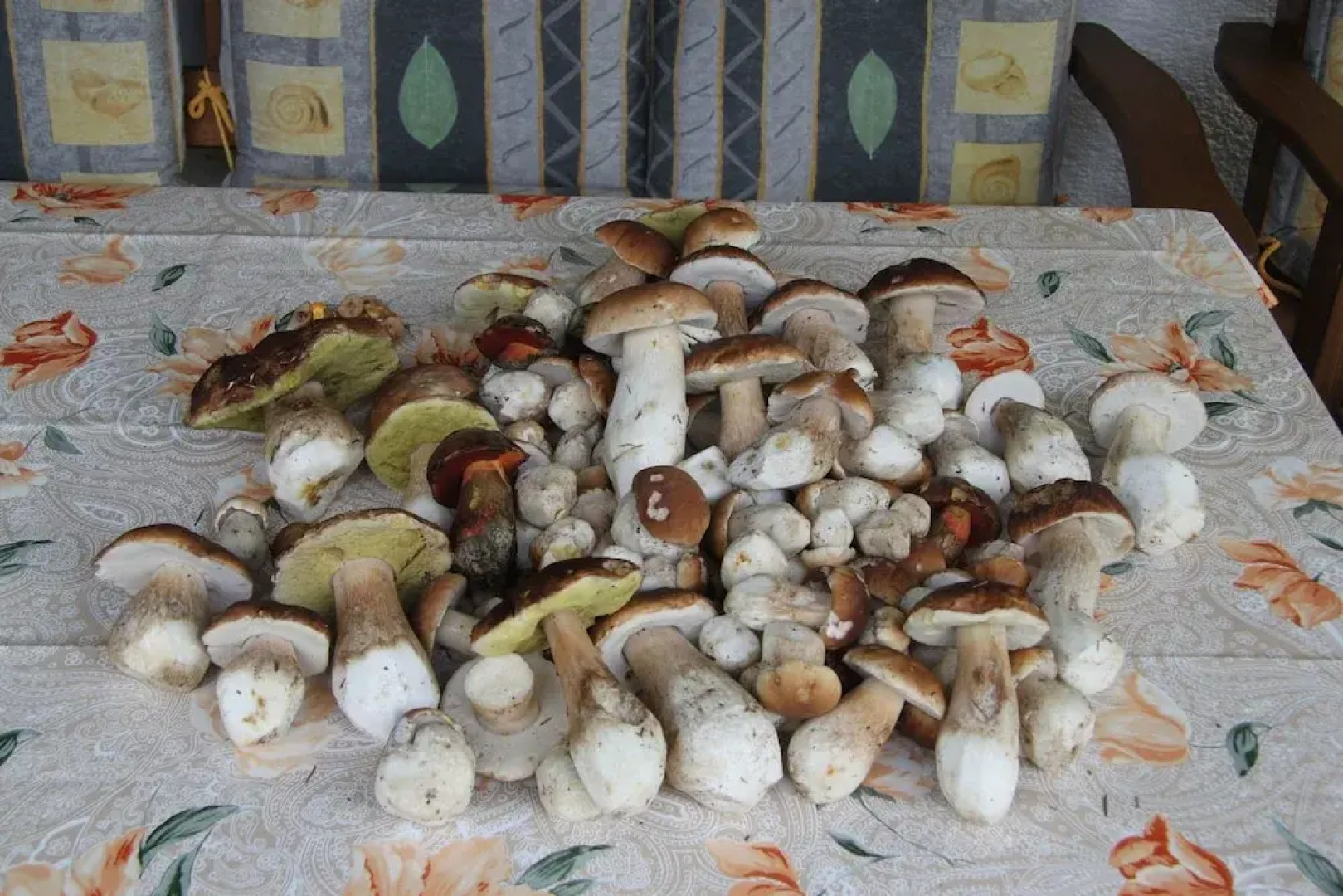 Ellerbeck Gesundheits- und Wellnesshof