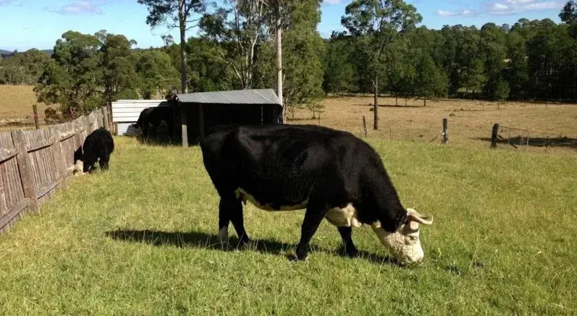 Rural Executive Holiday House @ Lavender Grove Farm