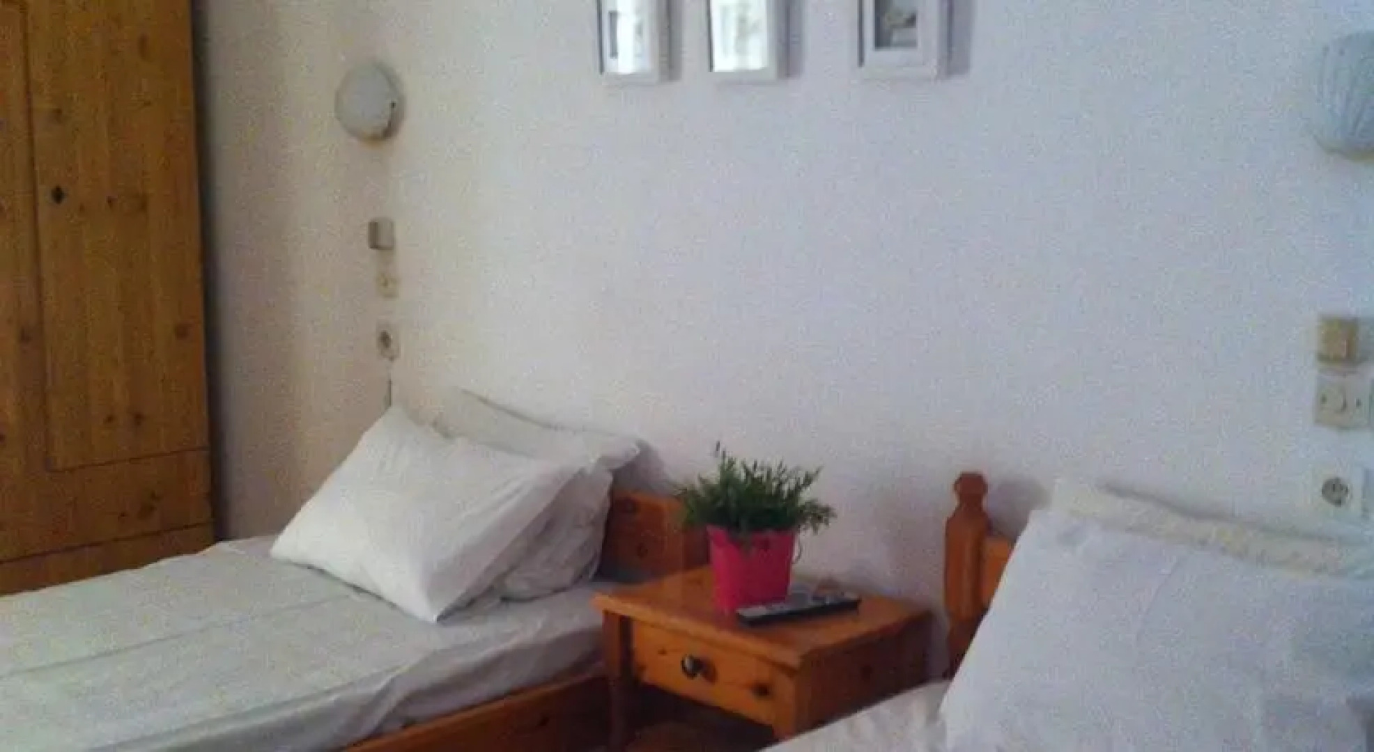 Olympic Holiday Zigos