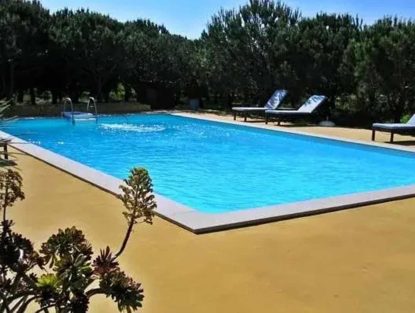 Monte do Papa Leguas