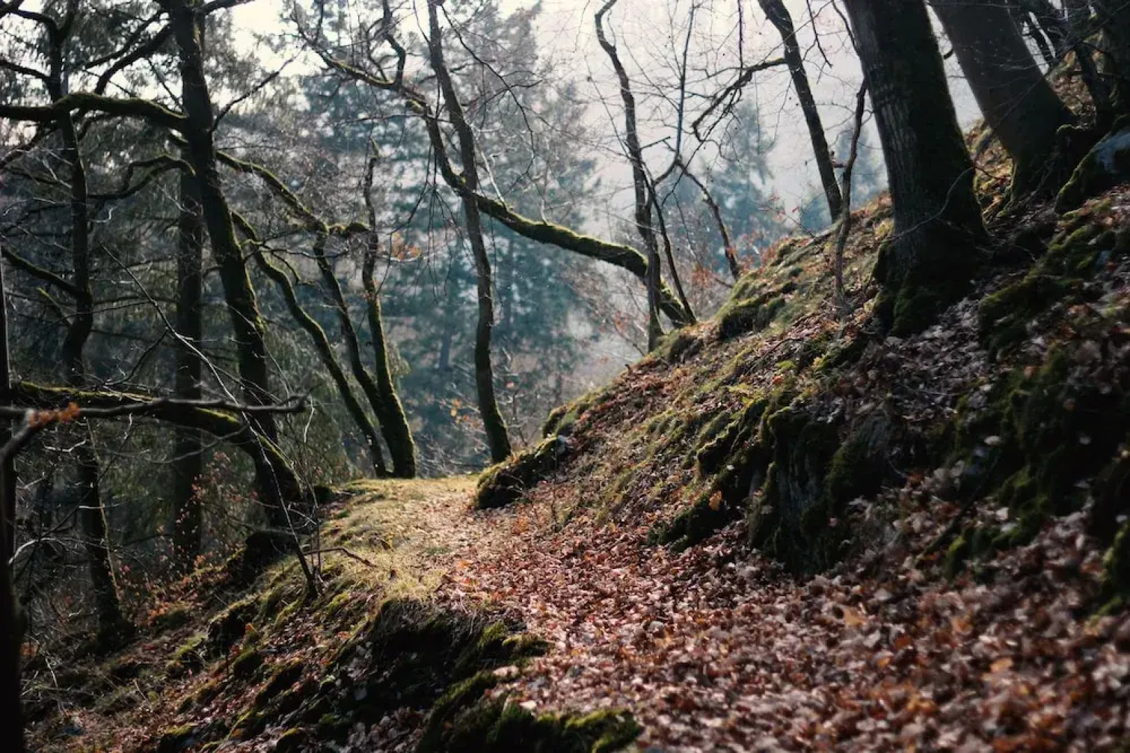 Acron Traben-Trarbach