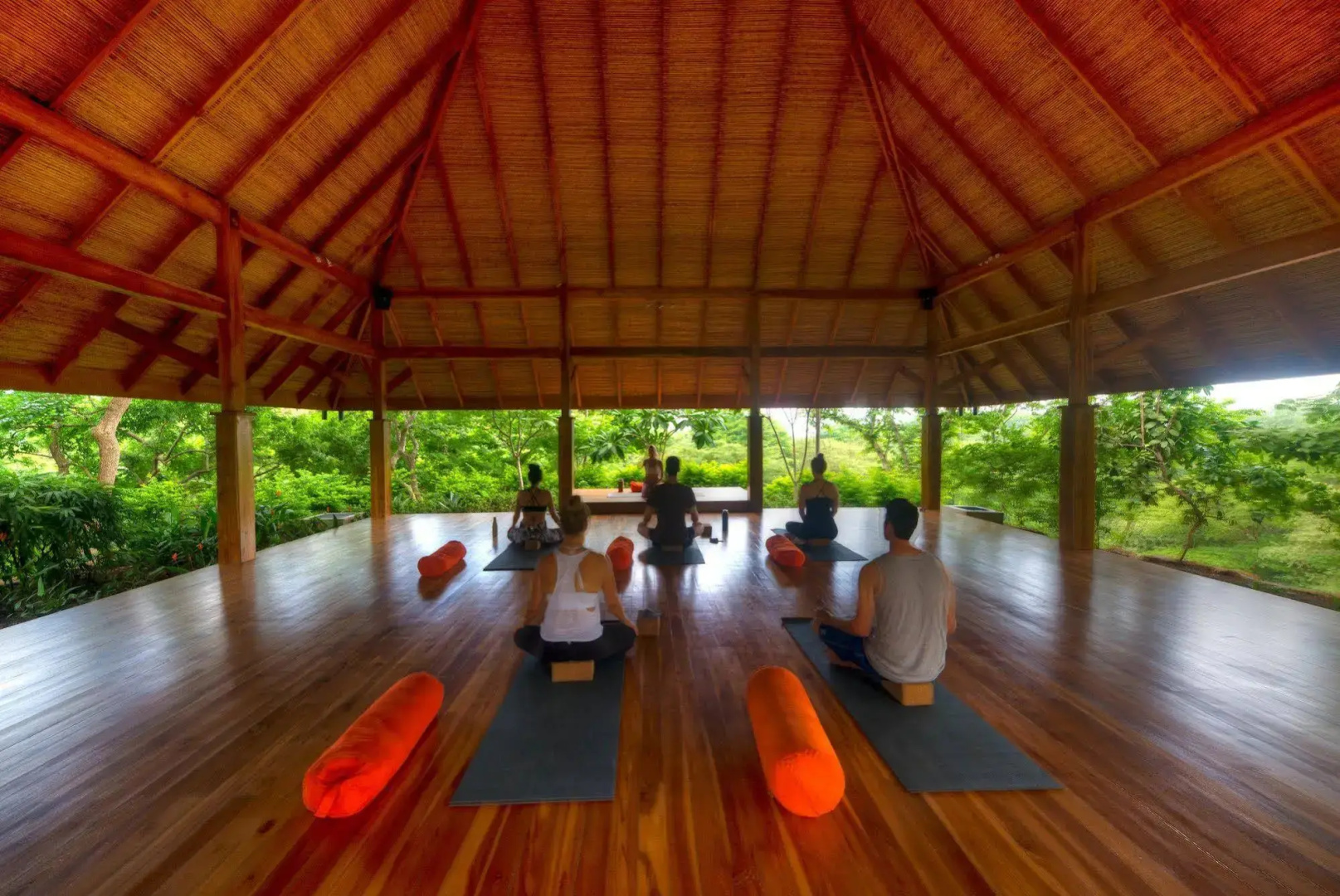 Bodhi Tree Yoga Resort