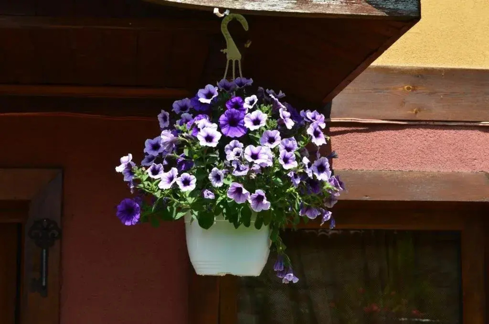 Zlatniyat Telets Guest Rooms