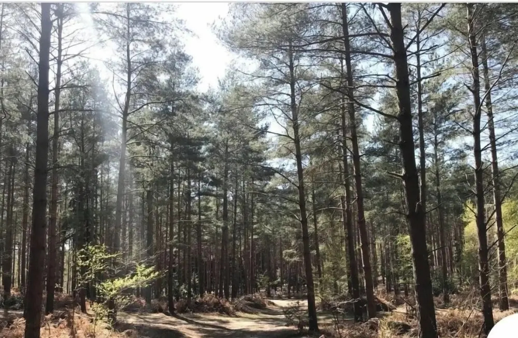 Stunning 4-bed House in Camberley