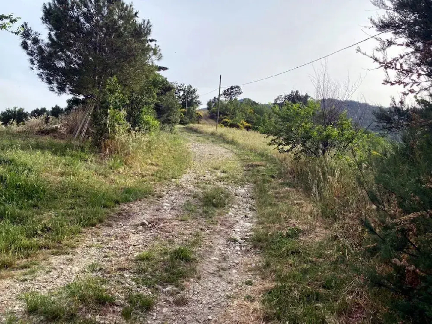 I 3 falchi Bed & Breakfast