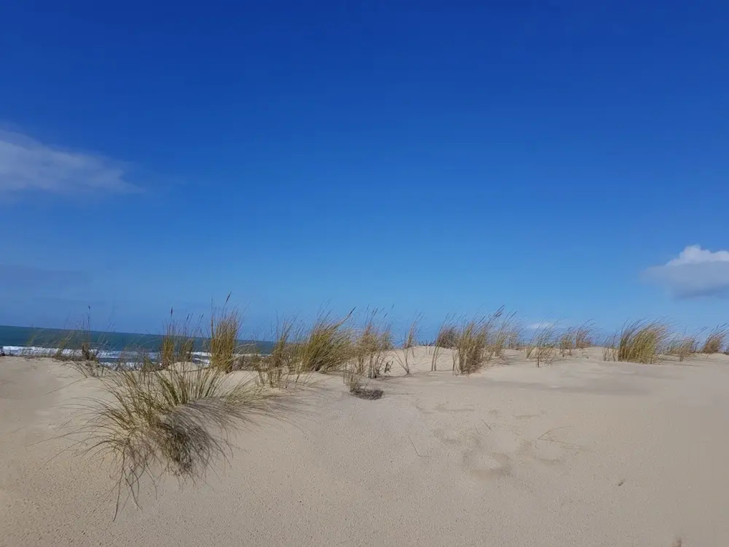 La Jenny, Naturist Resort