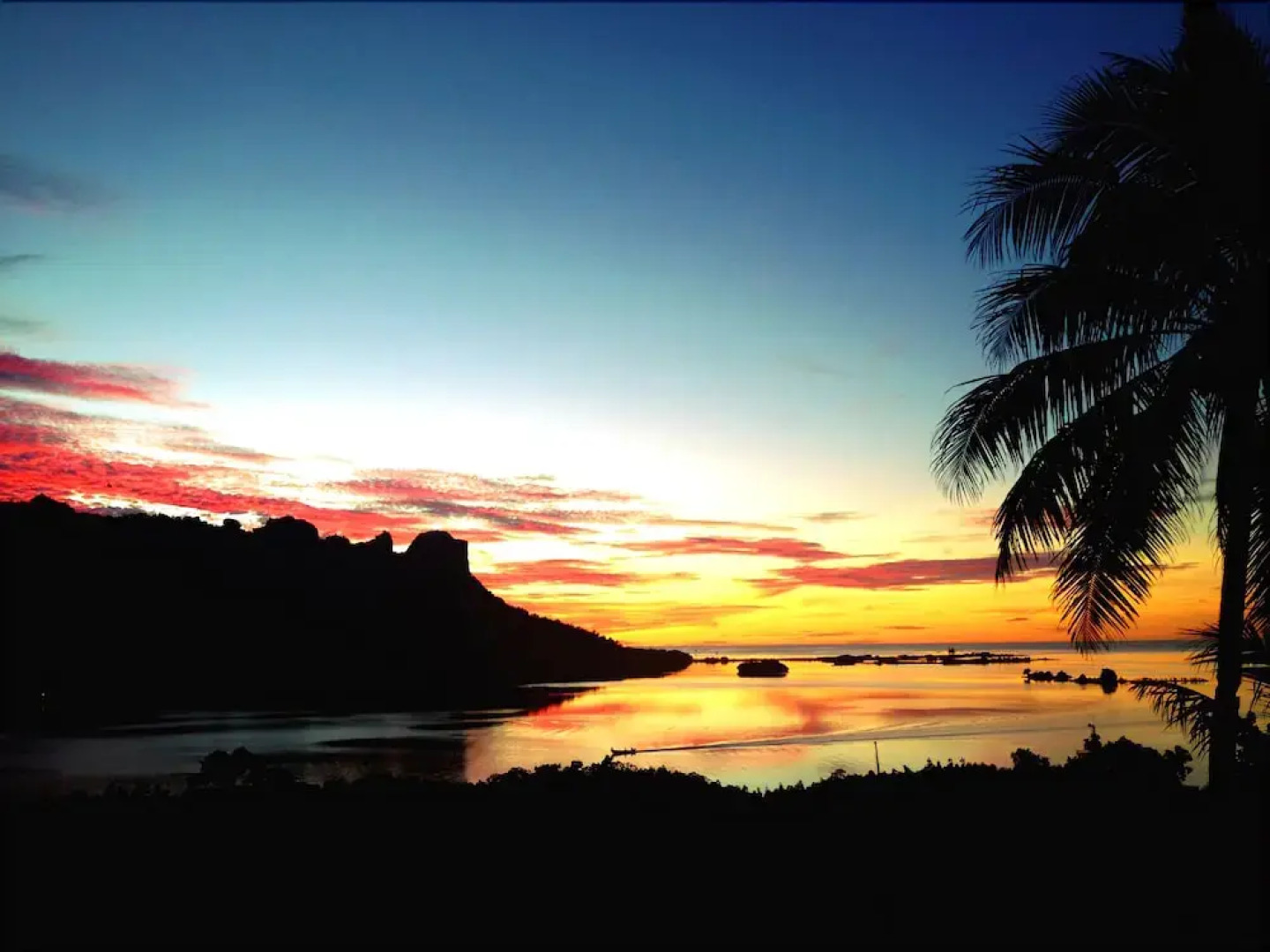 South Park Hotel Micronesia