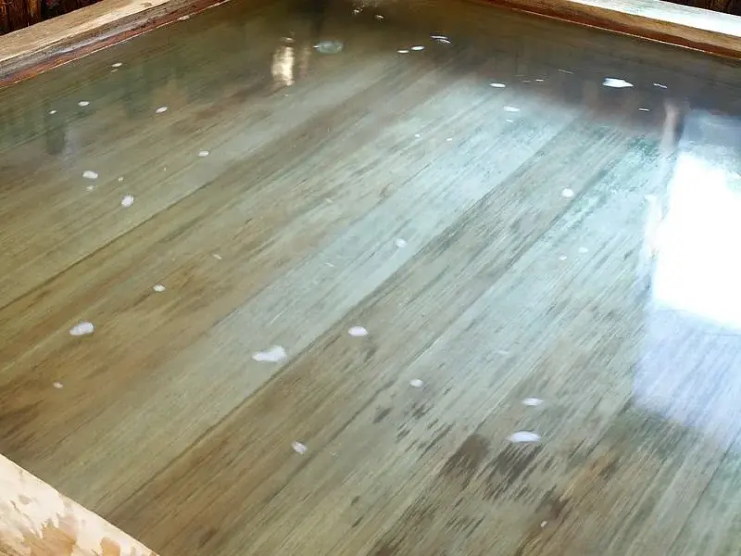 Daitoku Hotel Ryokan