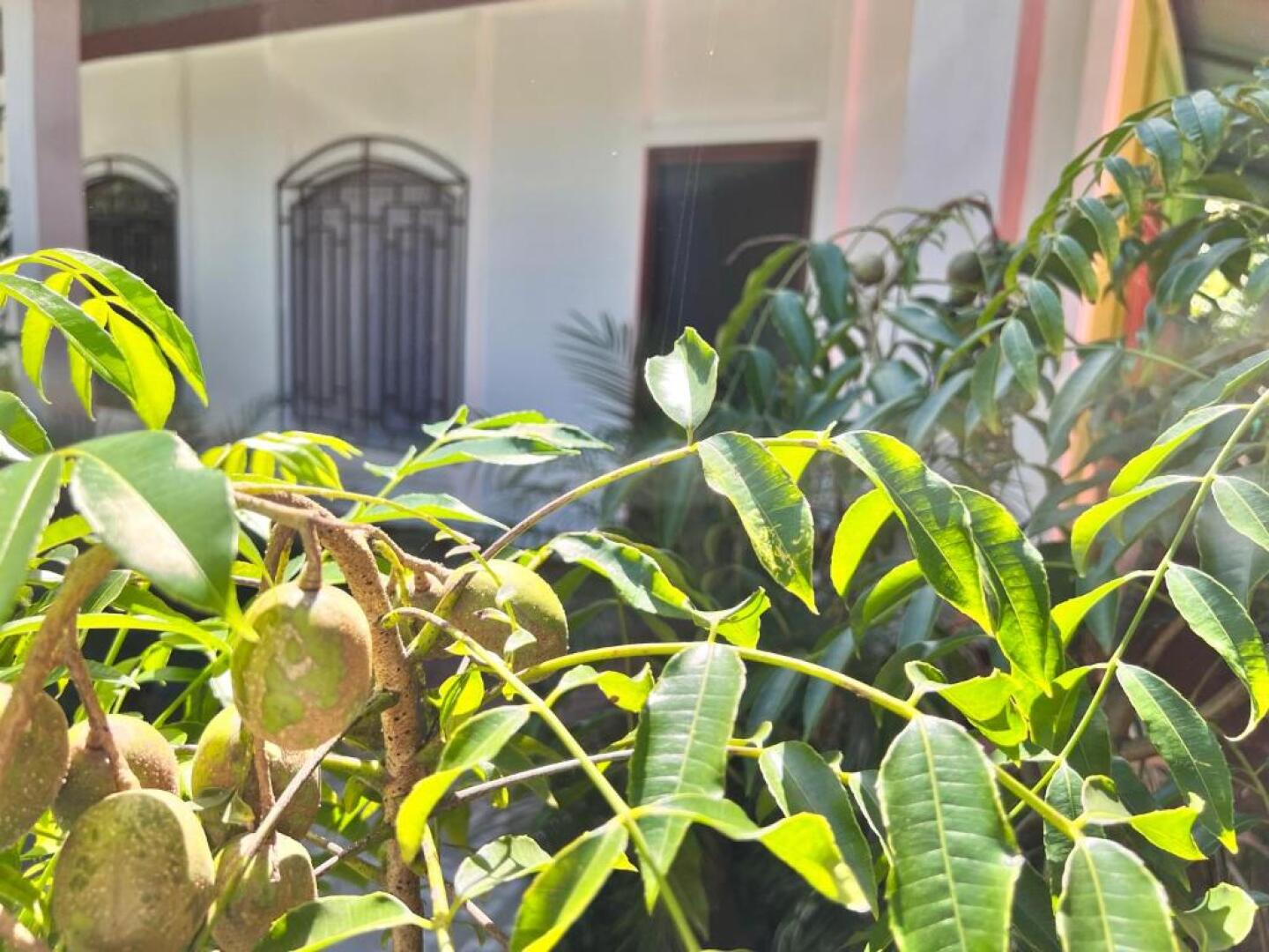 Natural Experience House