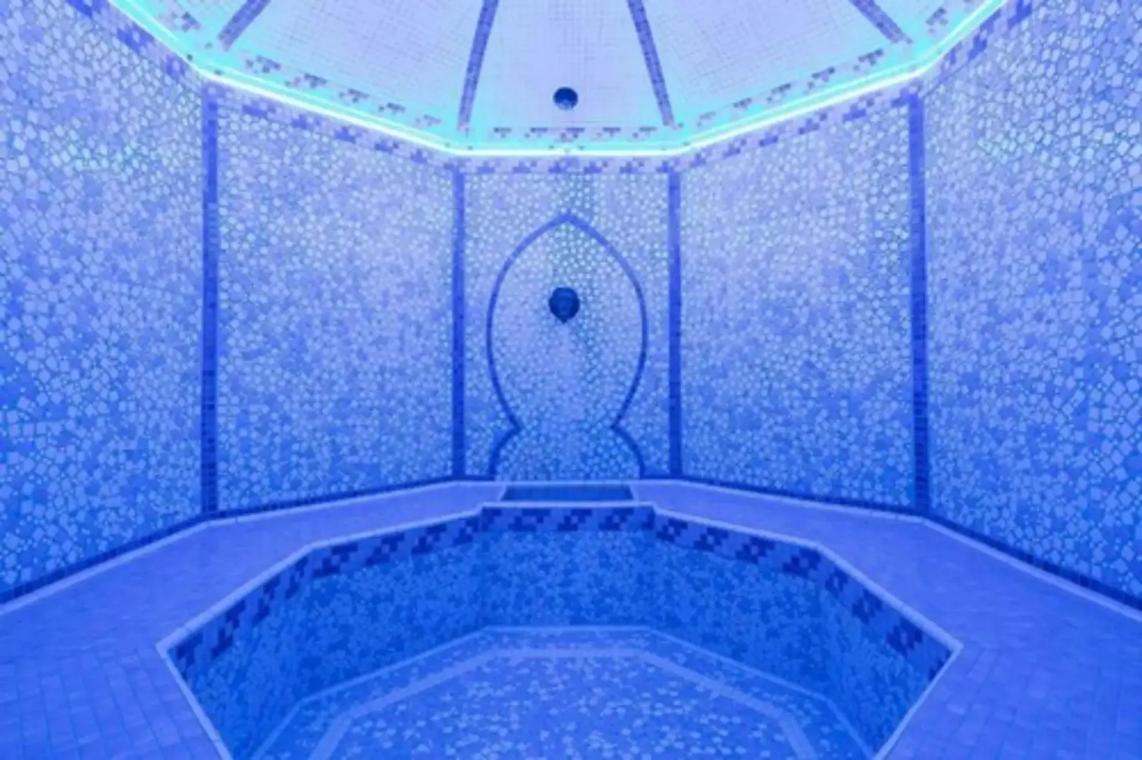 Hotel Le Palace des Neiges