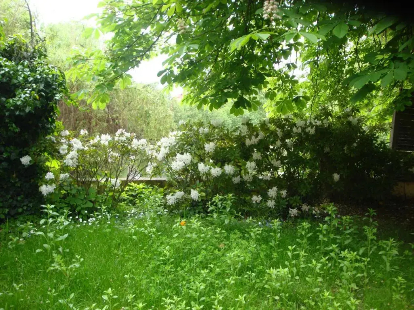 Maison d'hôtes Alsace - 4 chambres d'hôte - private Gästezimmer Elsass - private guest rooms Alsace