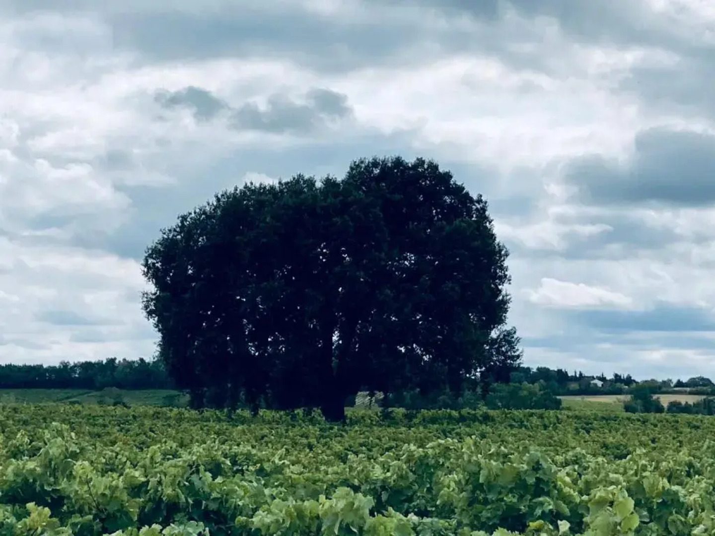 Venez Dormir Chez Nous