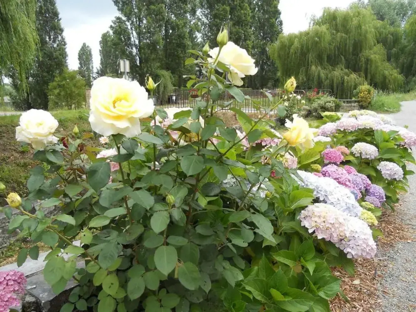 Chambres de la Bégaudière