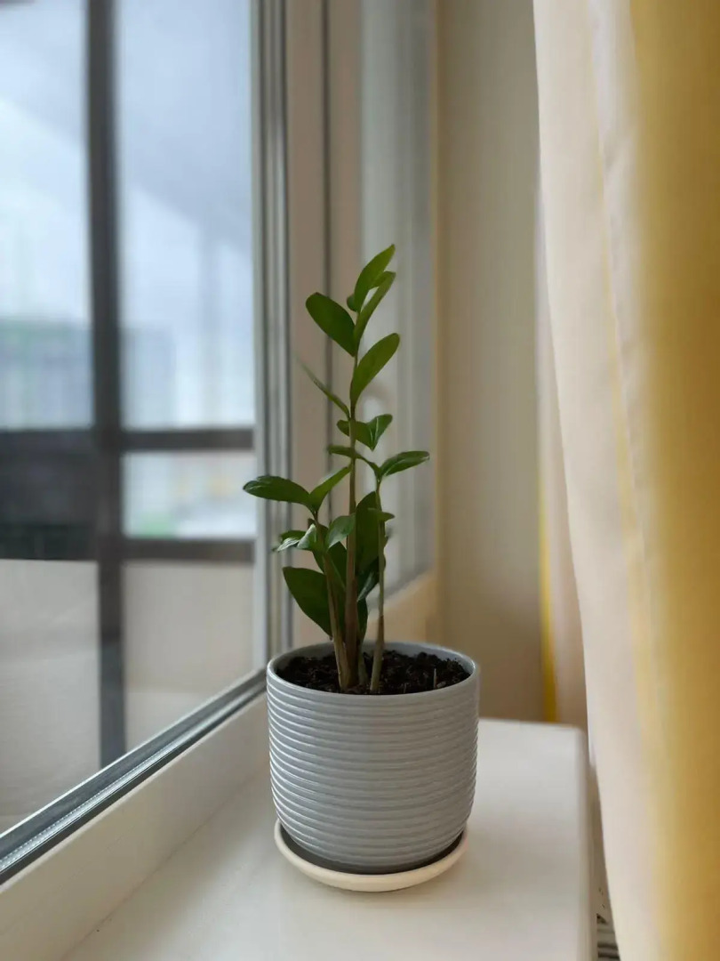 Апартаменты на улице Современников 1 корпус 3