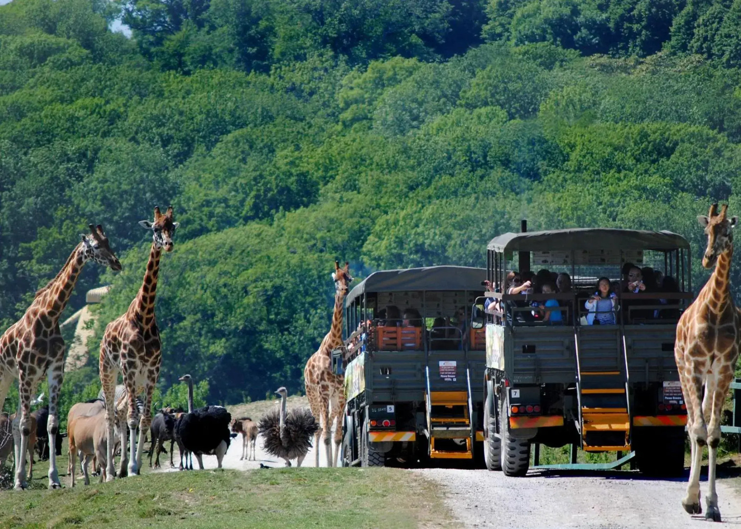 Port Lympne Reserve - Port Lympne Hotel