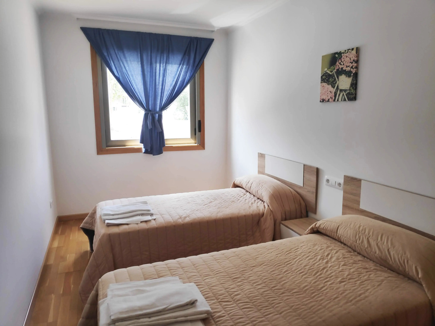 Apartamentos Ares 3000