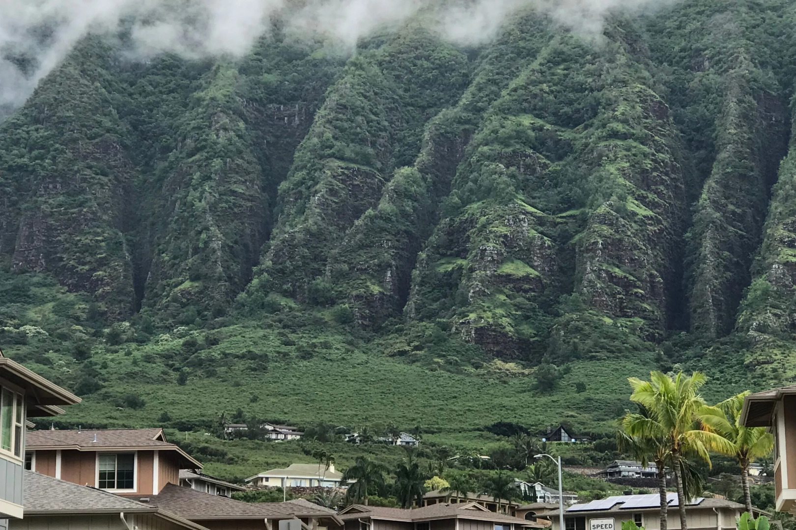 Studio Nene by AvantStay | Chic, Cozy, King Bed