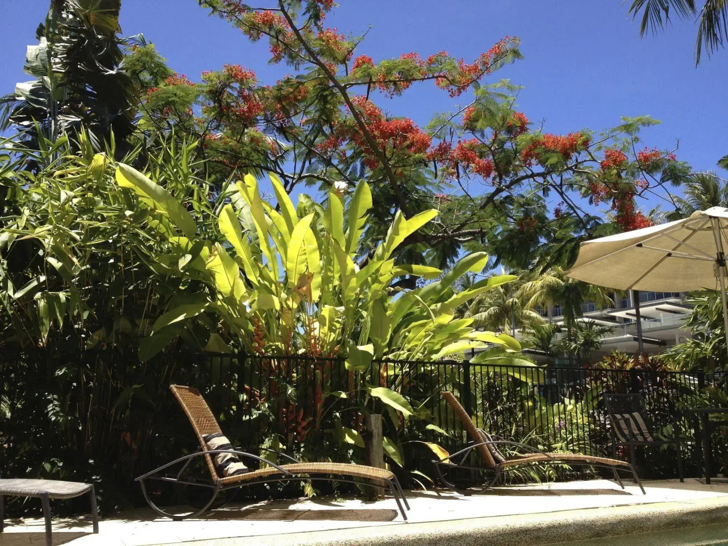 Port Douglas Apartments - Adults Only Oasis
