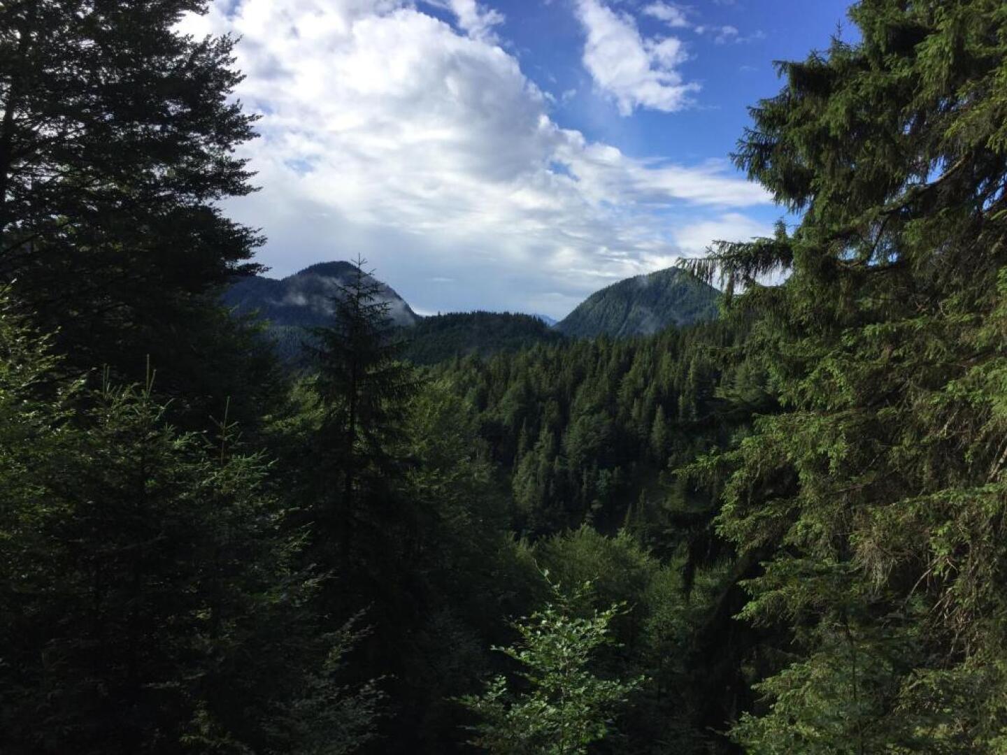 Ferienwohnung Almflair Chalet