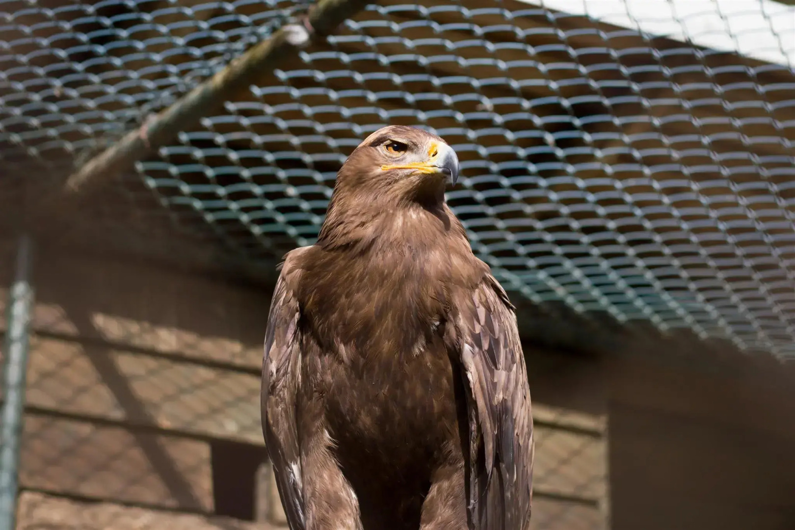 Xenia Hotel Clark - Multi Use Hotel