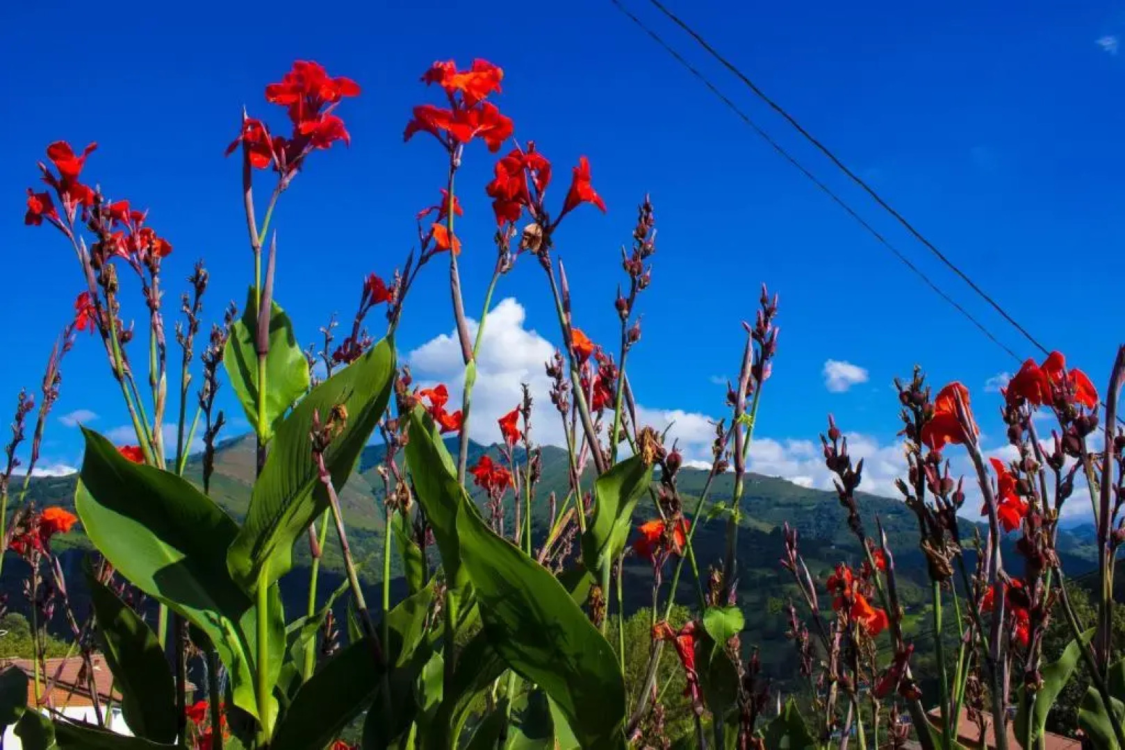 Hotel Doña Gaudiosa