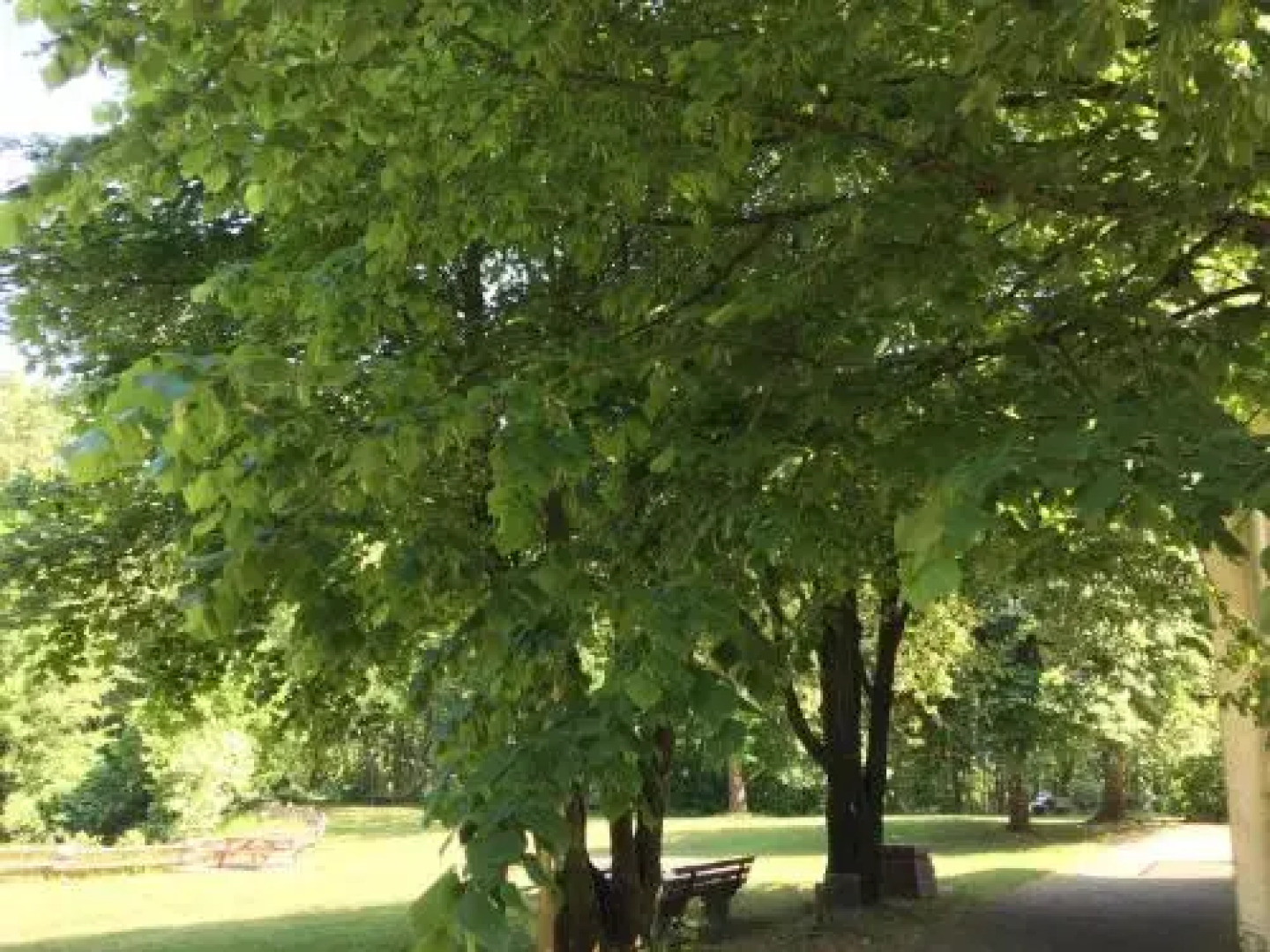 Berggasthof Eisenberg