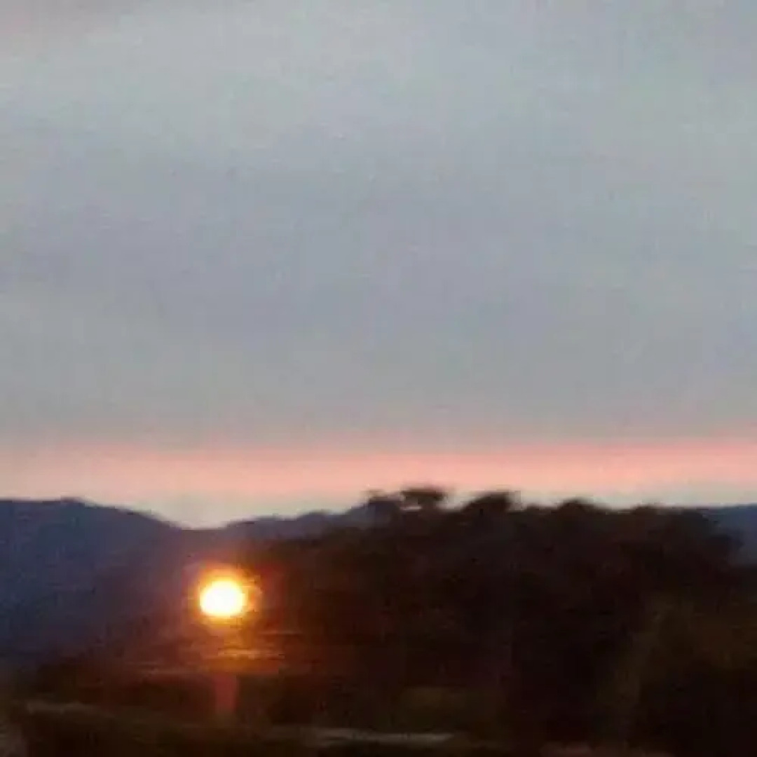 Misahualli Adventure Hostel