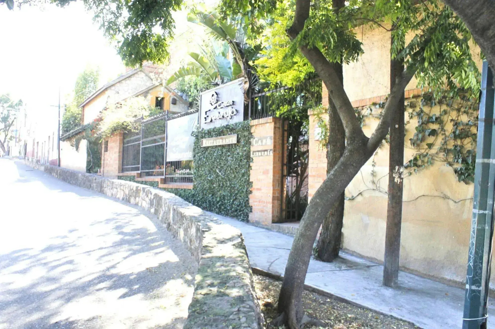 Casa Aurea