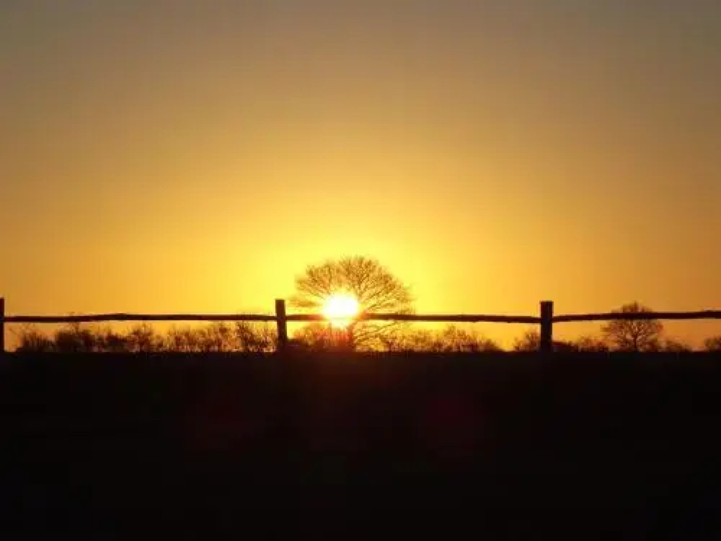 The Suites at Pannells Ash