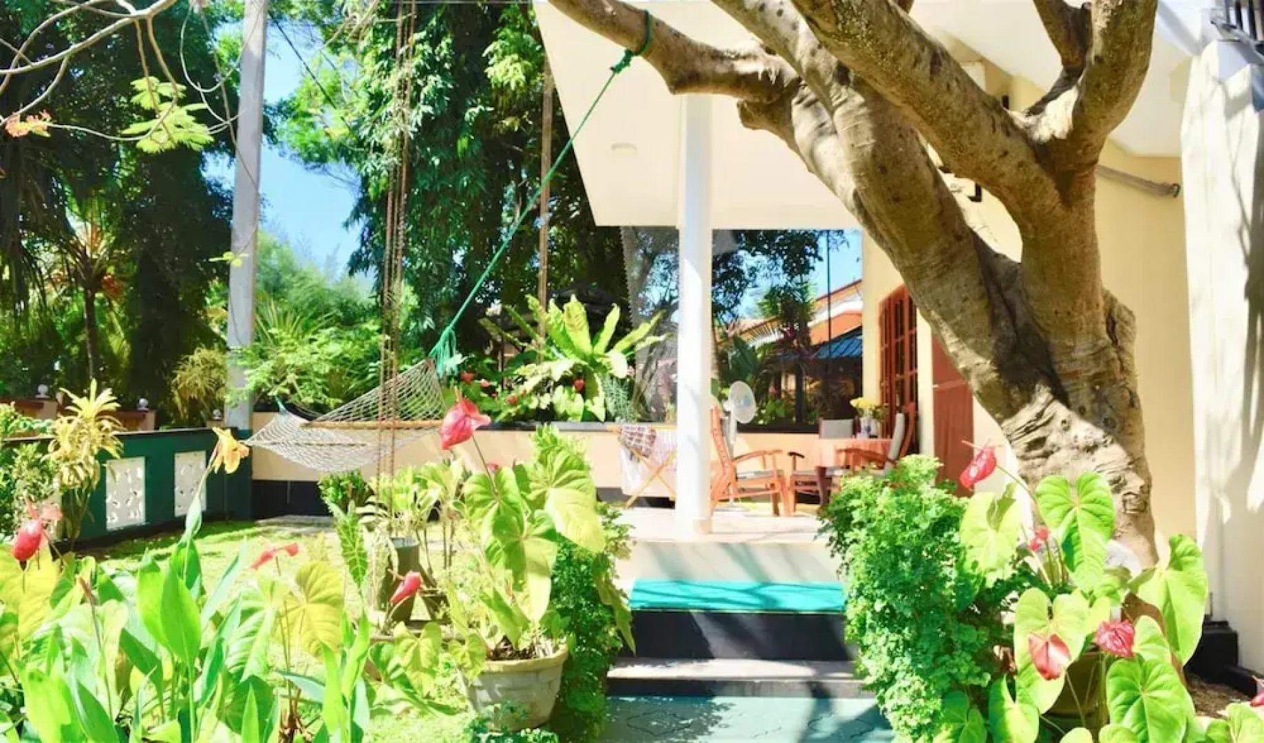 Rico Shadow Guest House