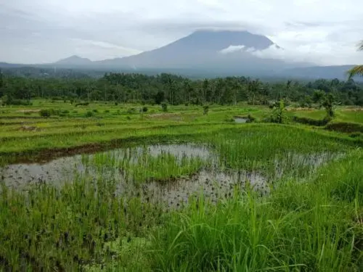 Pondok Bali