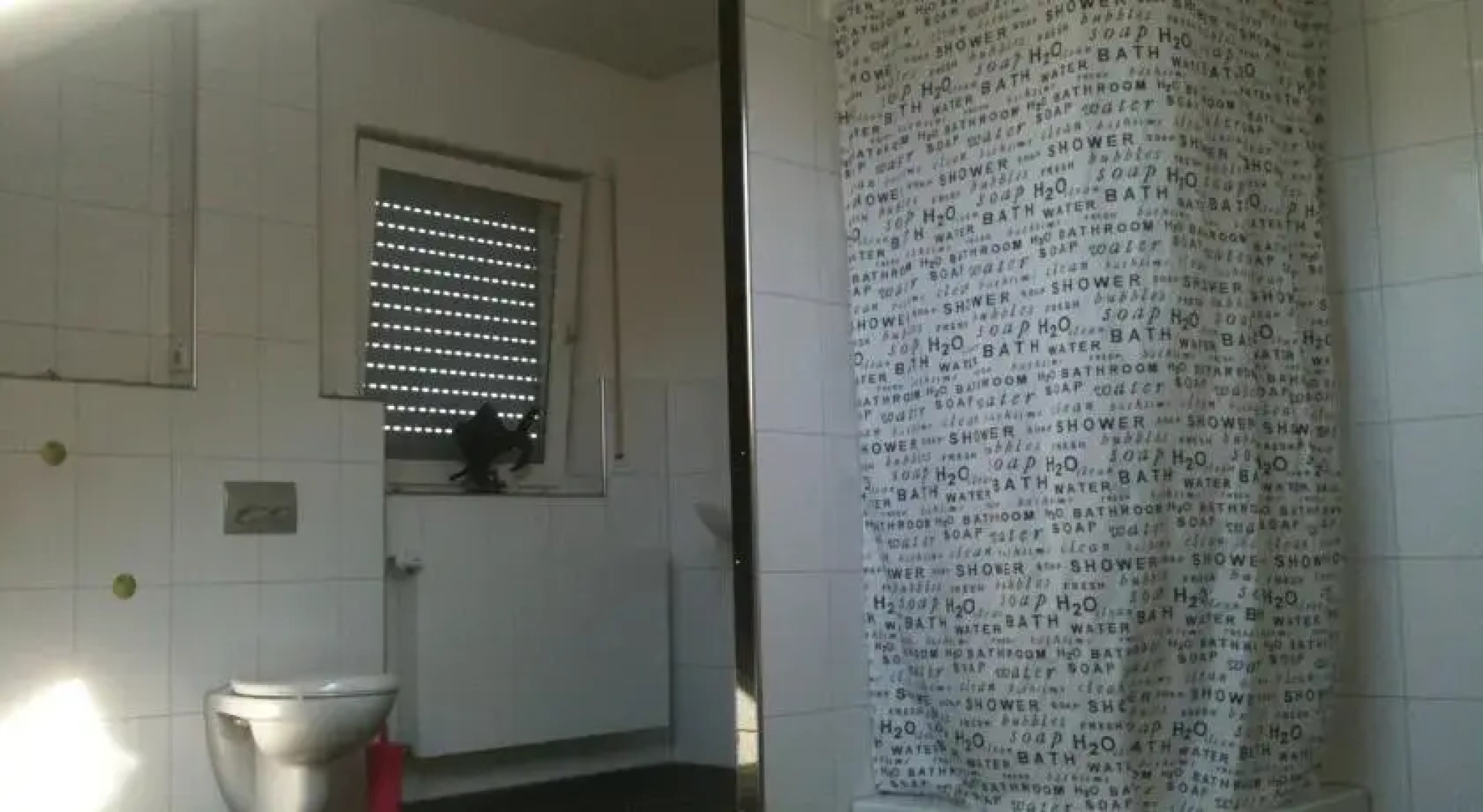 Ferienhaus Schienberg