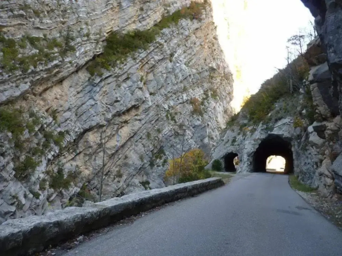 Résidence Les Blanches Provençales