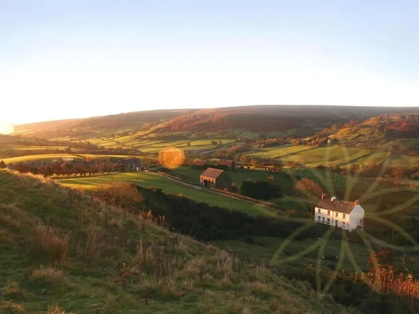 The Tree Relaxation Retreat