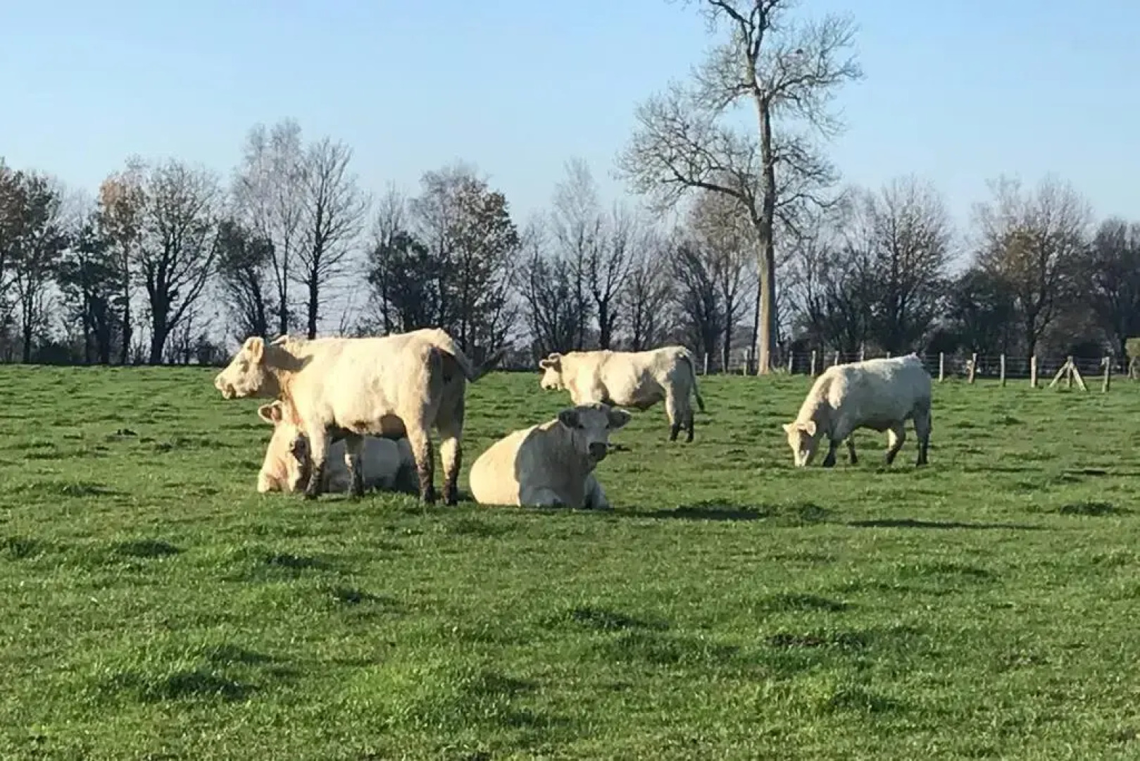 Suite & SPA Maison de Charmes Avec Sauna & Hammam