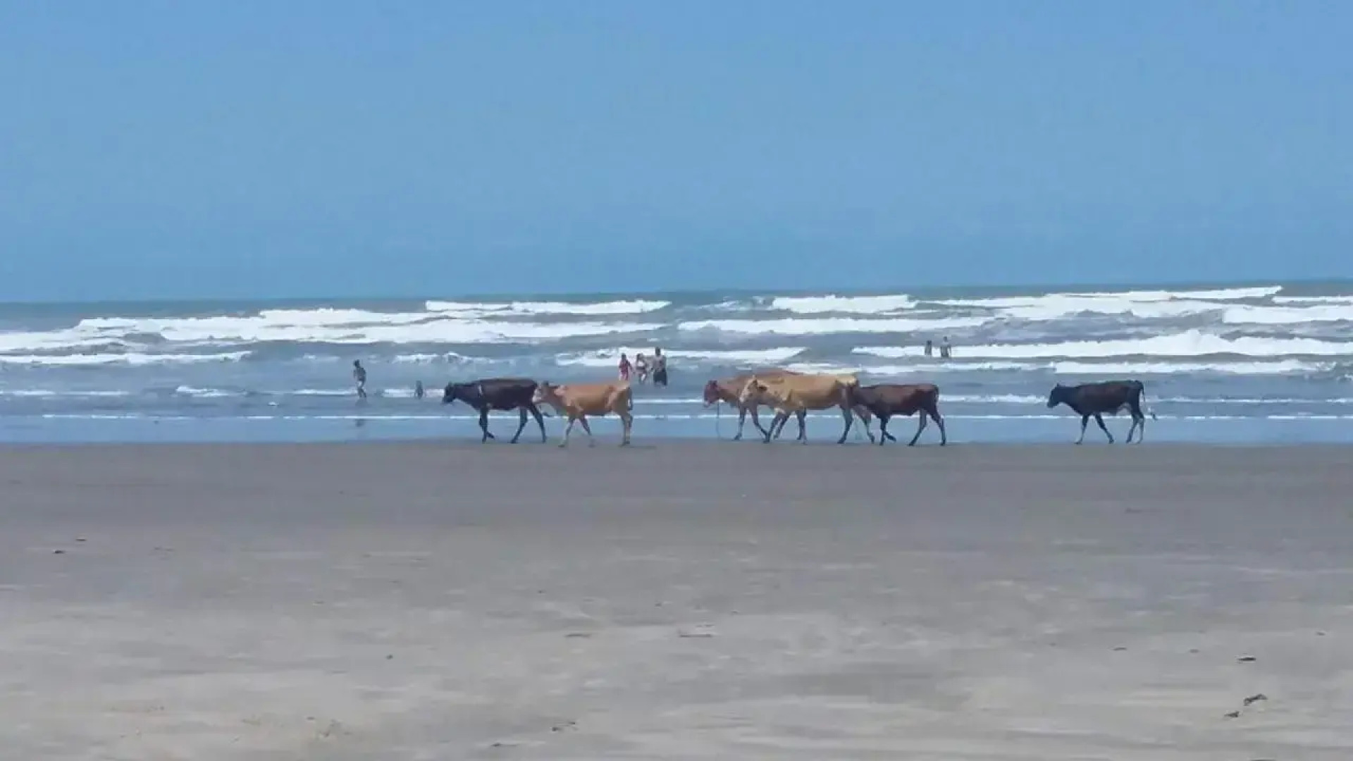 Hostel Chalés Recanto da Aldeia