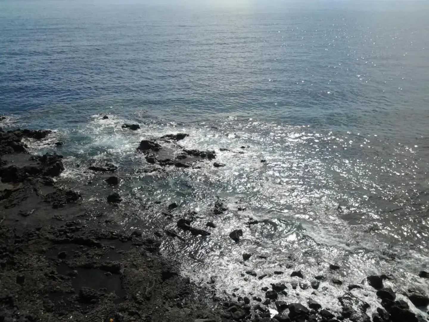 Apartamentos Los Banquitos