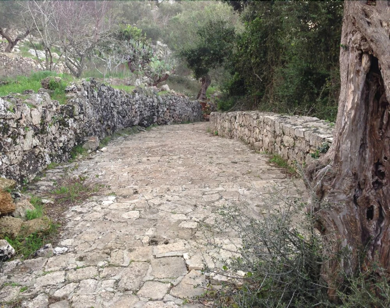 Agriturismo Giardini Di Marzo