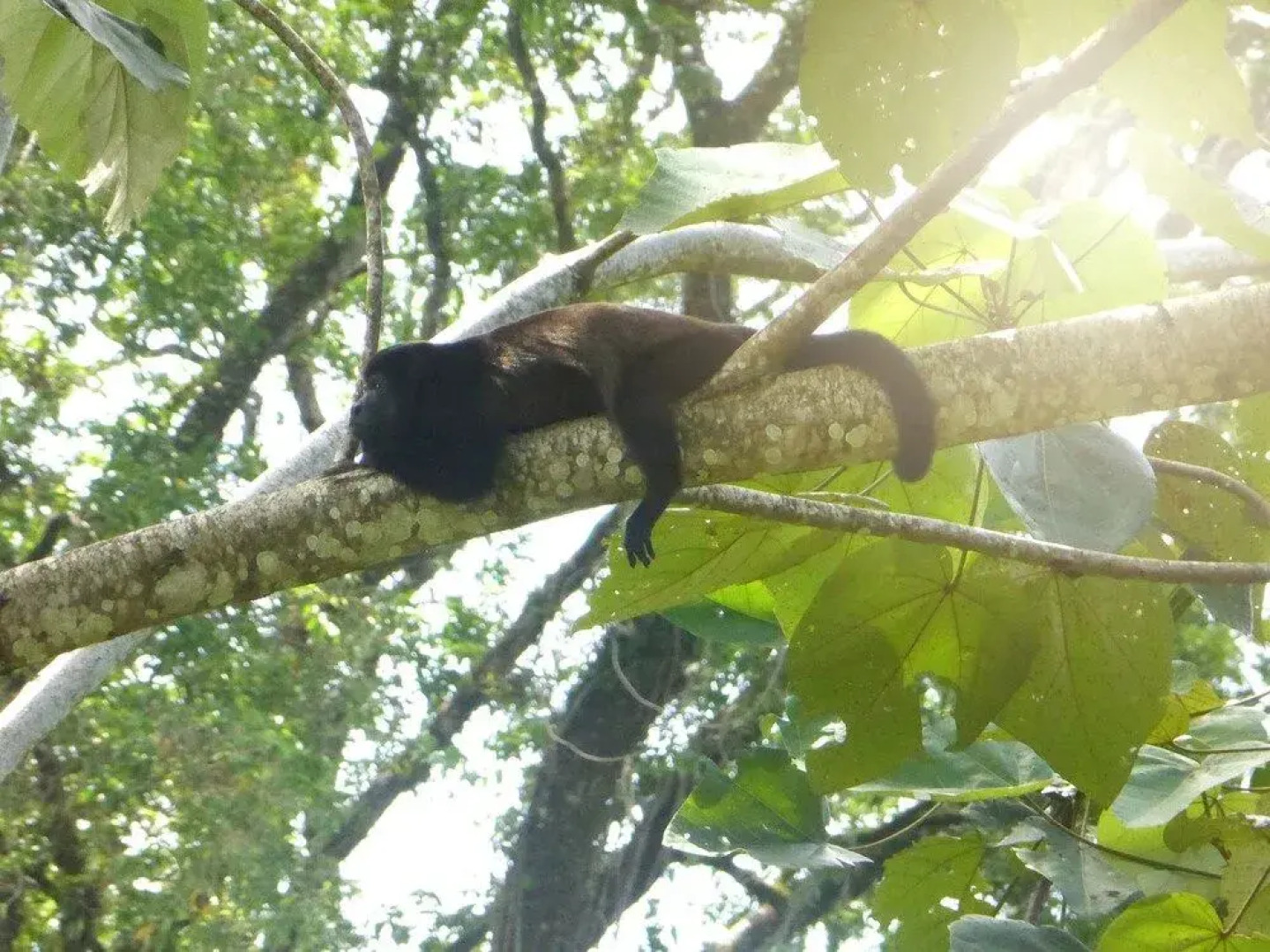 The Sunset Tucano Lodge