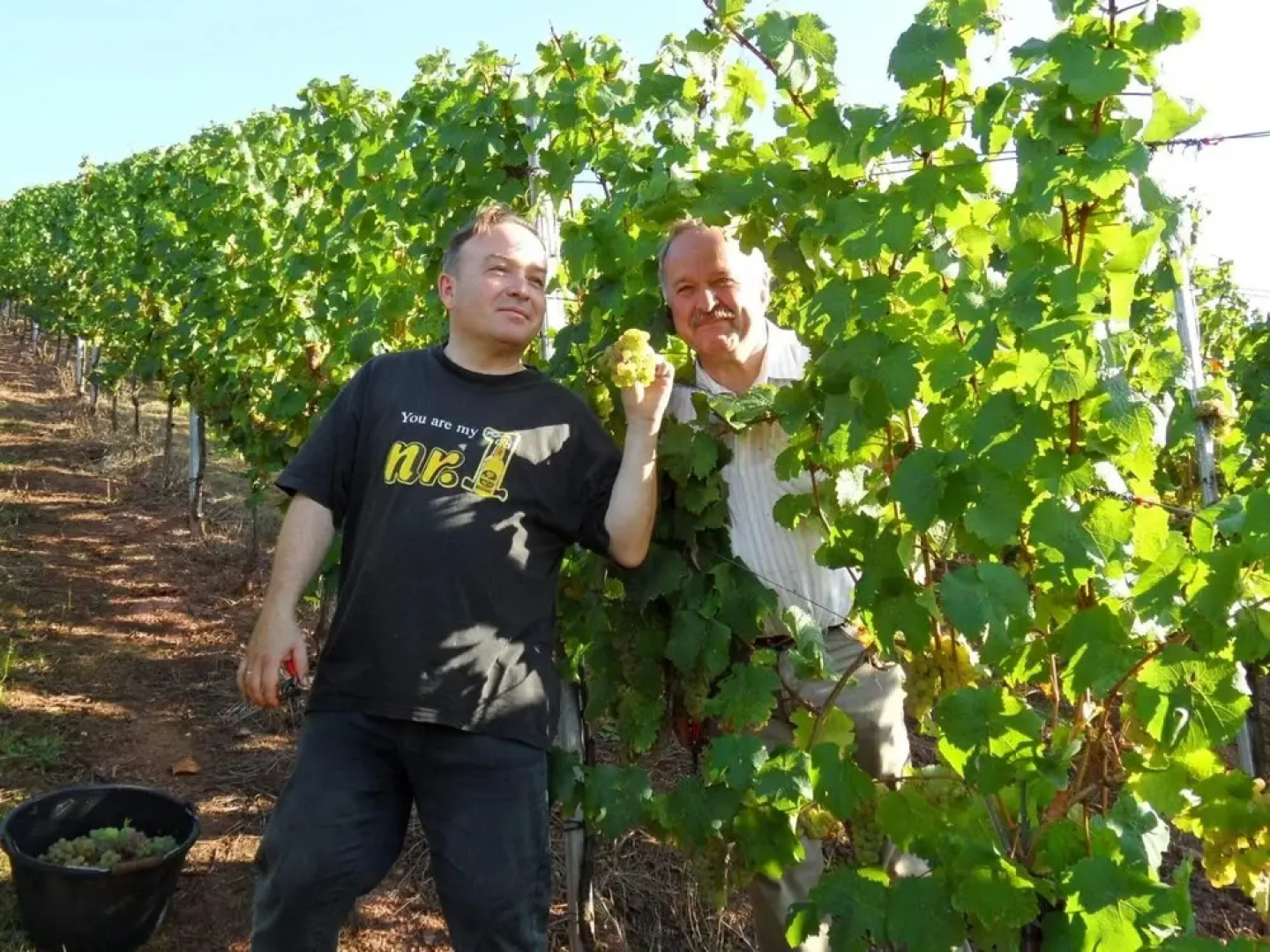 Gästehaus Weingut - Fröhliches Weinfass
