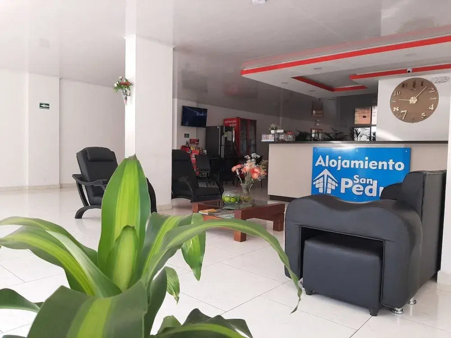 Hotel Alojamiento San Pedro In