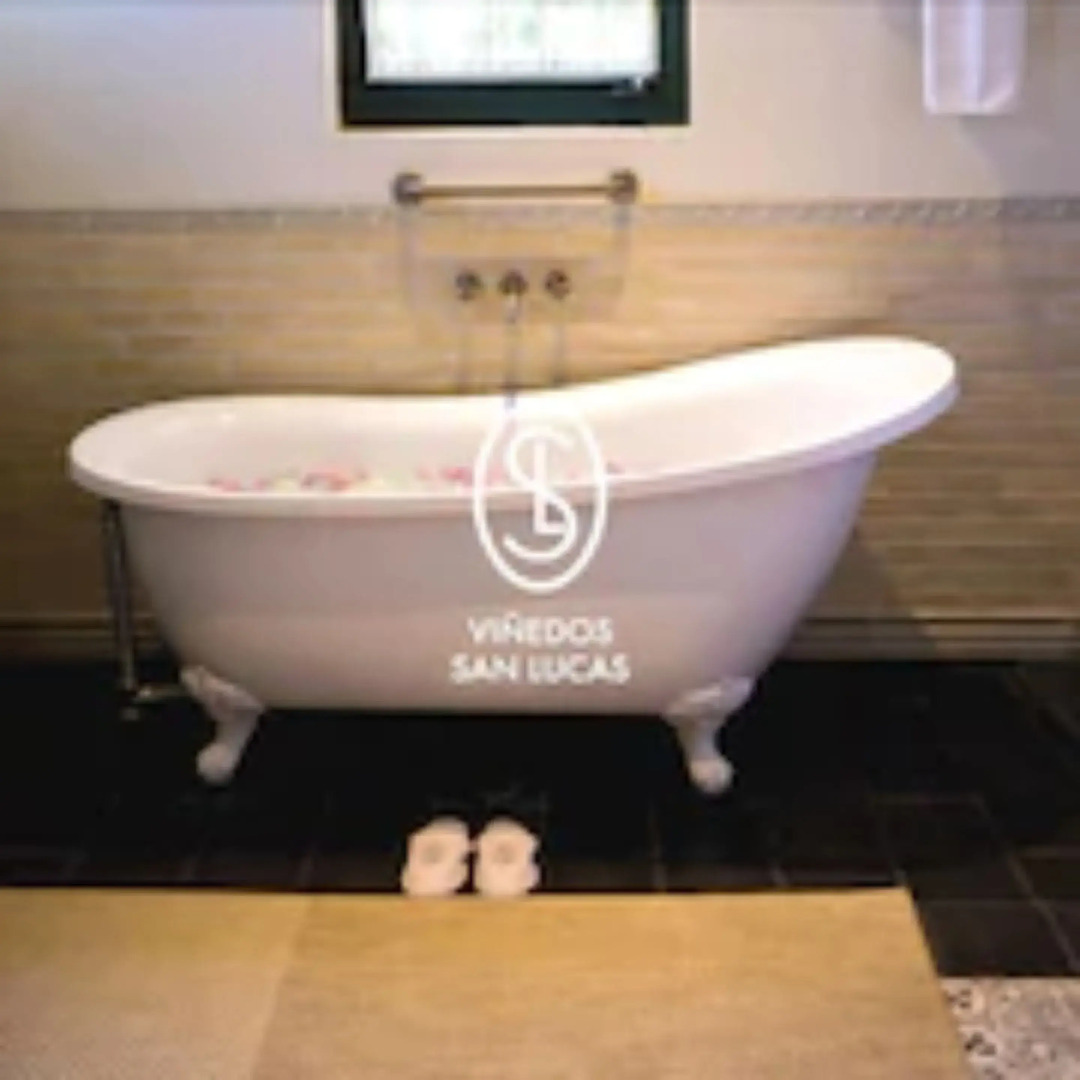 Hotel Viñedos San Lucas