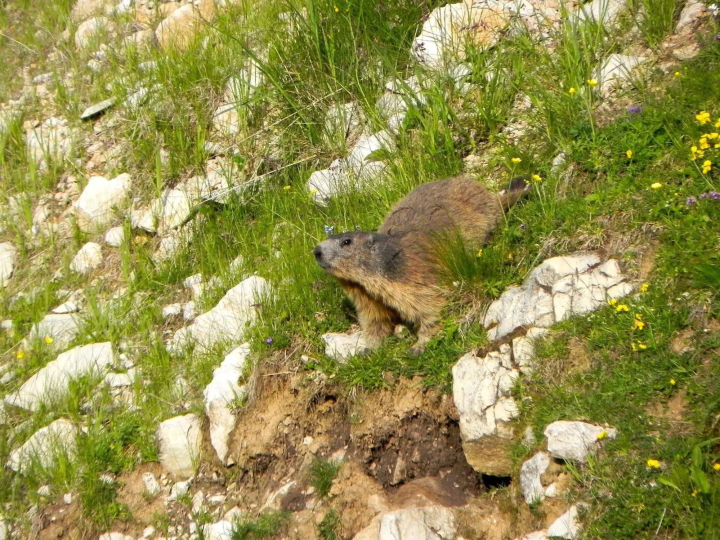 Rifugio Monte Baldo