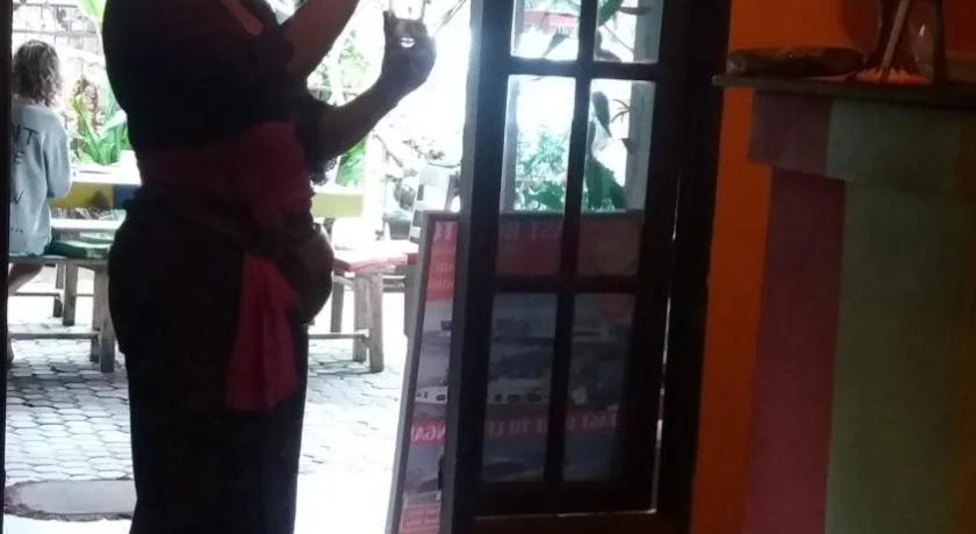 The Happy Mango Tree