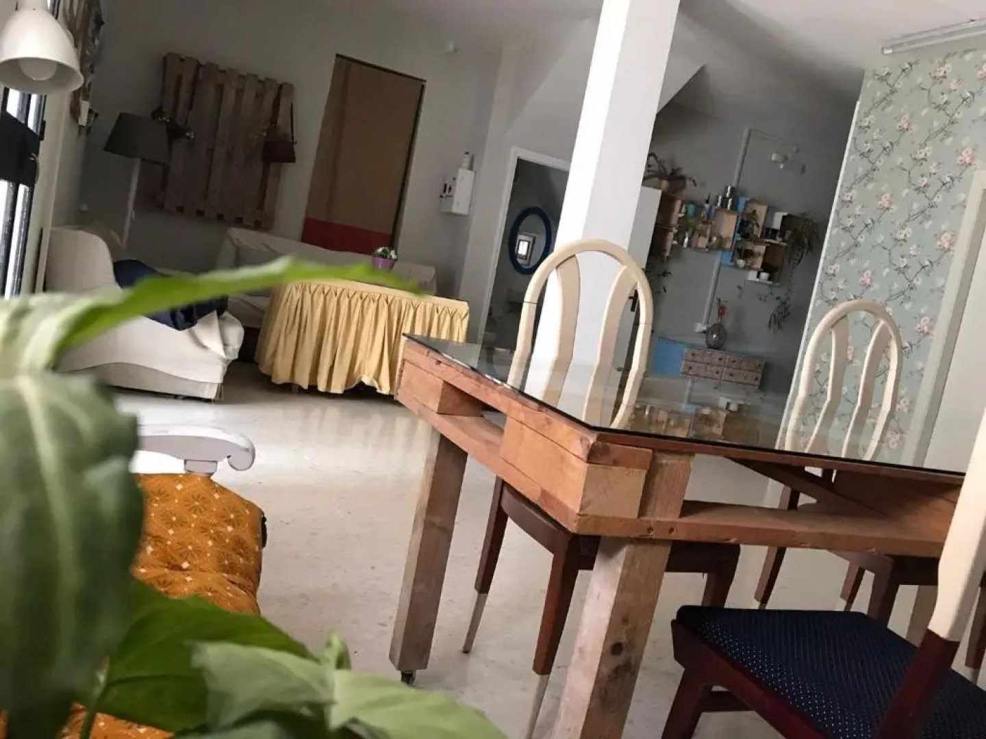 El patio del limonero